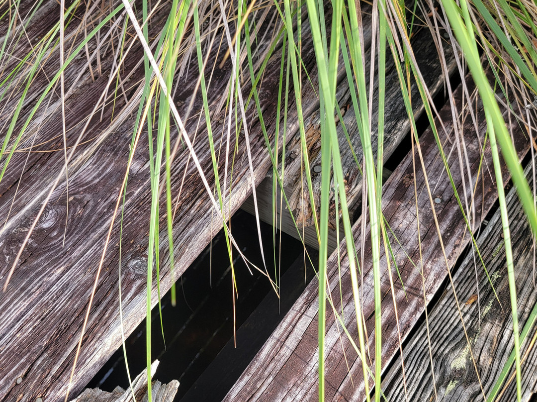 Tippecanoe Environmental Park-夏洛特港必去景点