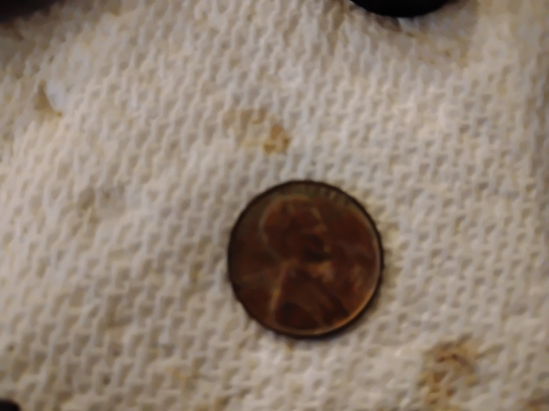 Ka Do Ha Indian Village-Murfreesboro必去景点