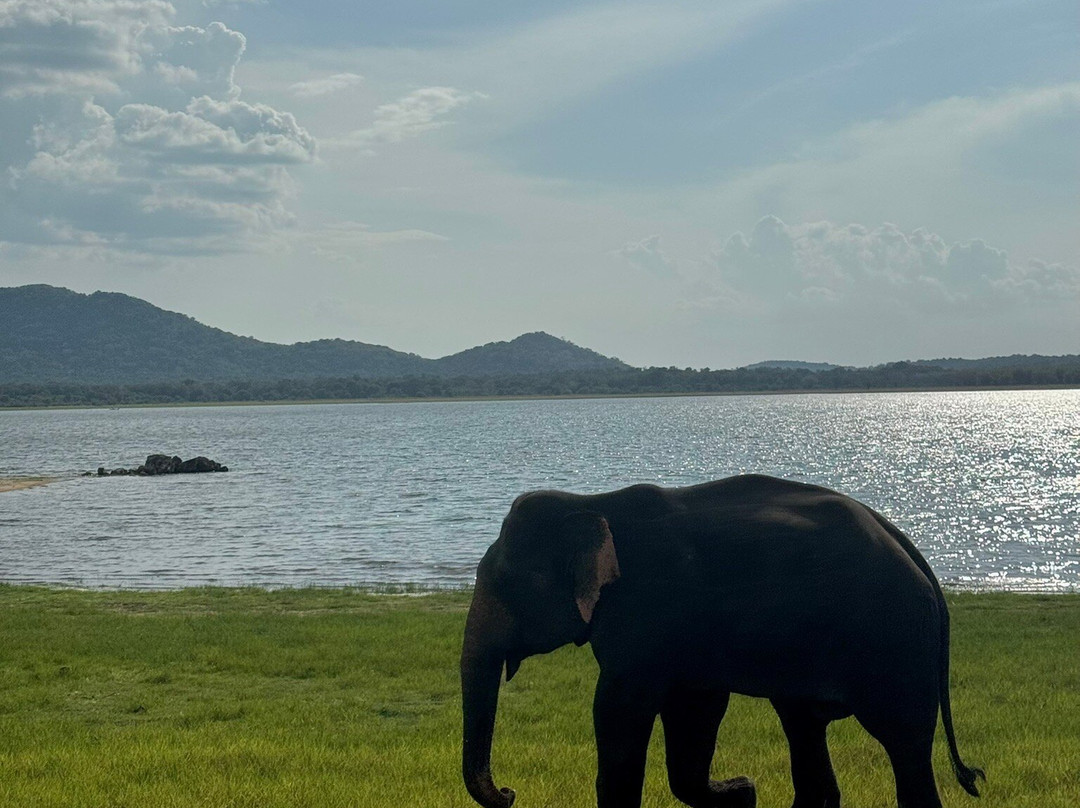 Sri Lanka Travel Partner-尼甘布必去景点