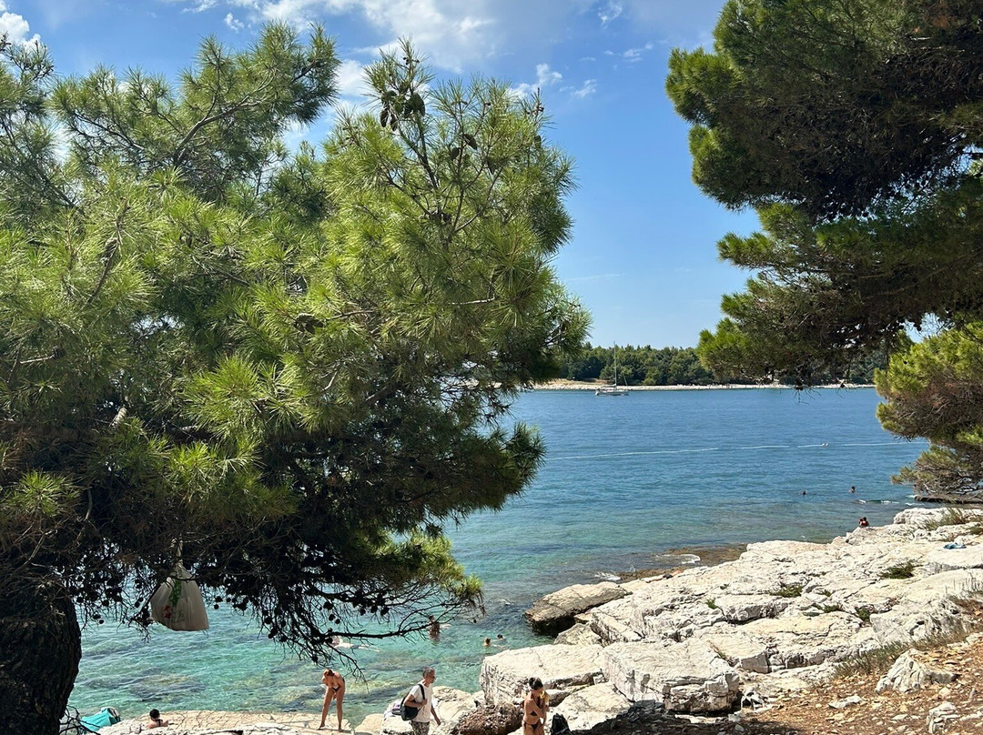 Punta Corrente-罗维尼必去景点