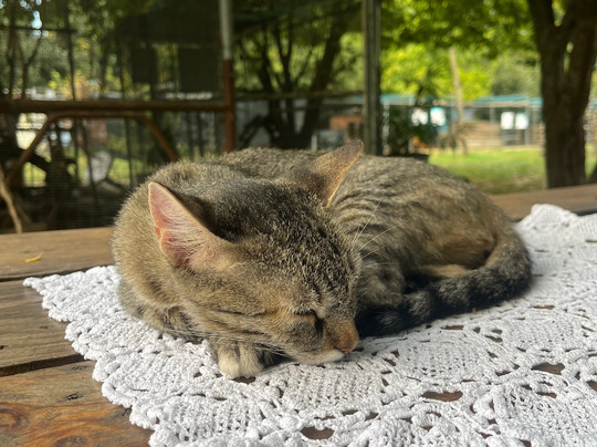 I Nani di Giada Az Agr-弗利必去景点