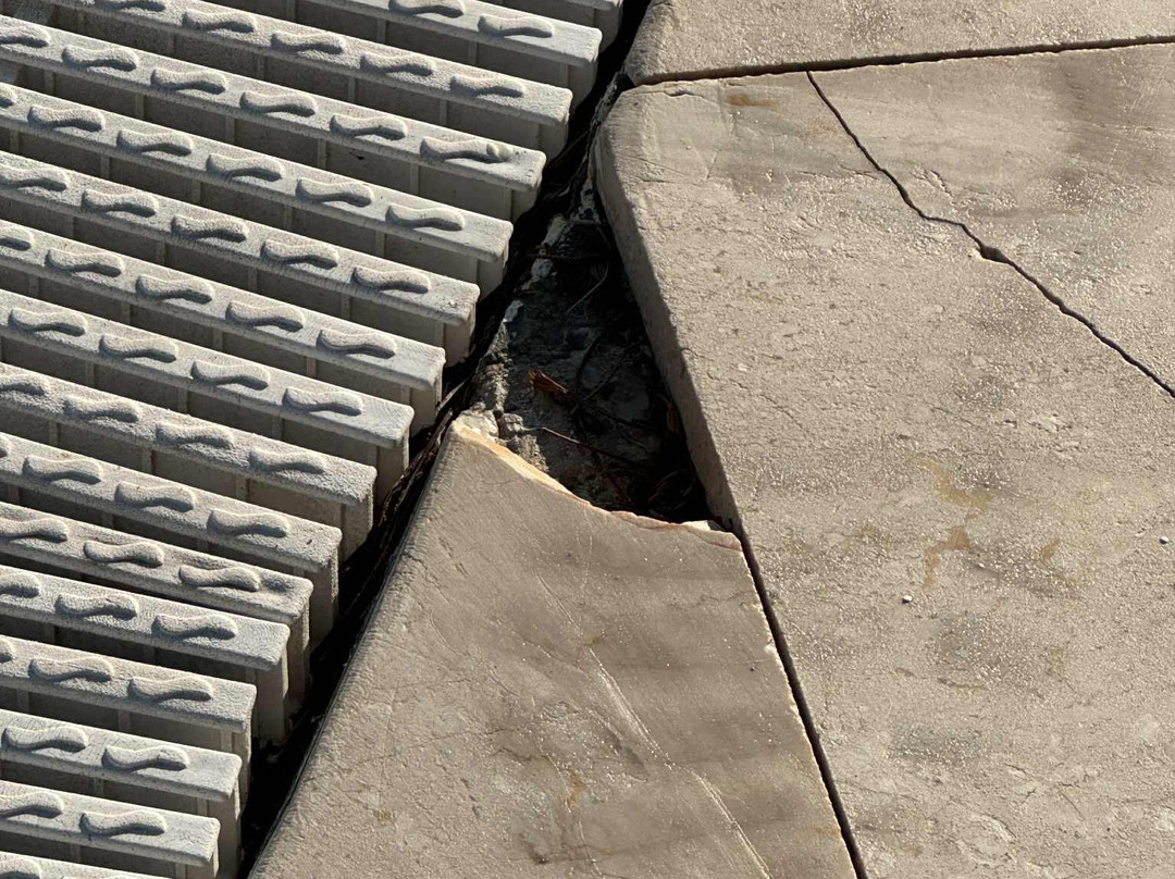 Park Hotel Porto Istana主图