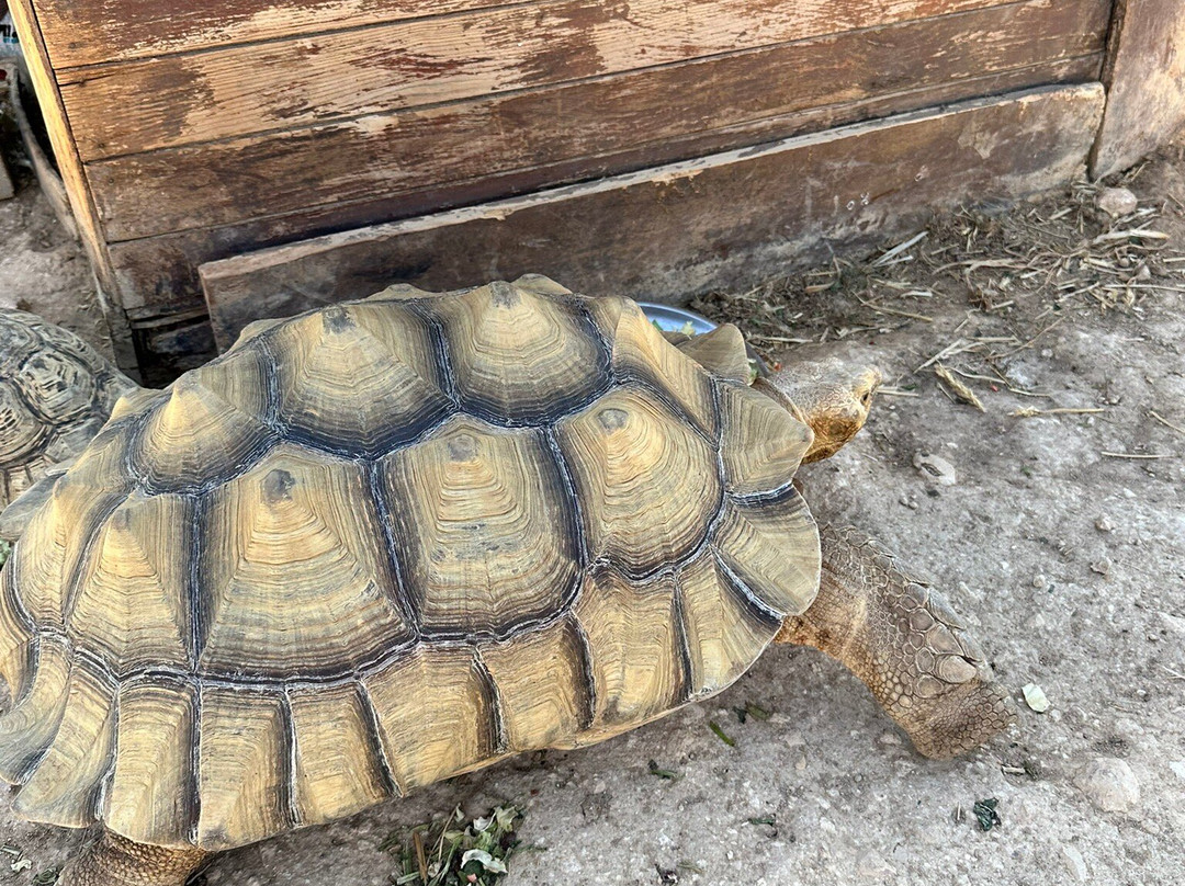 Quinta Fotoplanet Farm-阿尔布赞拉必去景点