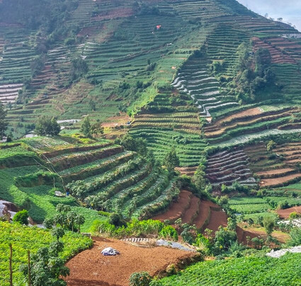 Bismo Mountain-Wonosobo必去景点