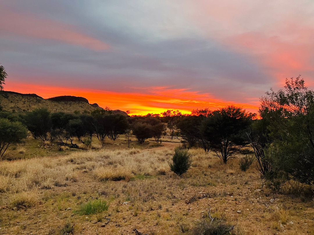 Trek Tours Australia-达尔文市必去景点