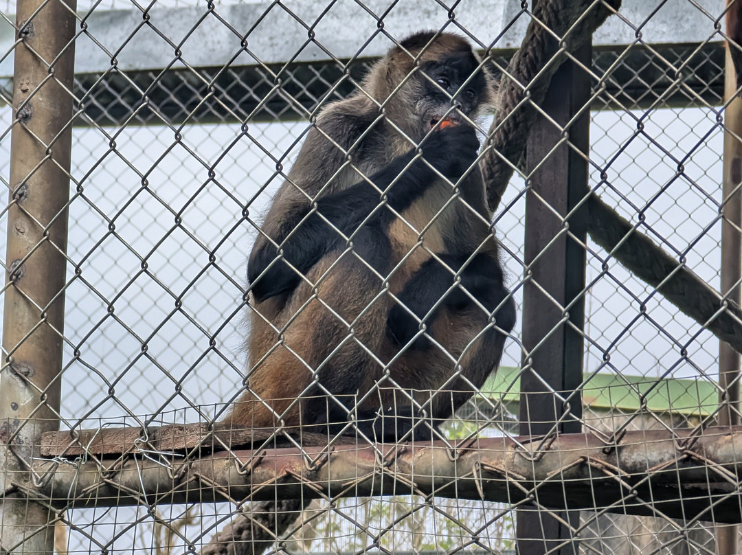 Toucan Rescue Ranch-San Isidro必去景点