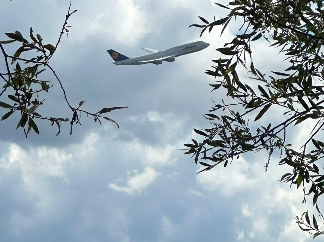 Monchwaldsee-克尔斯特尔巴赫必去景点