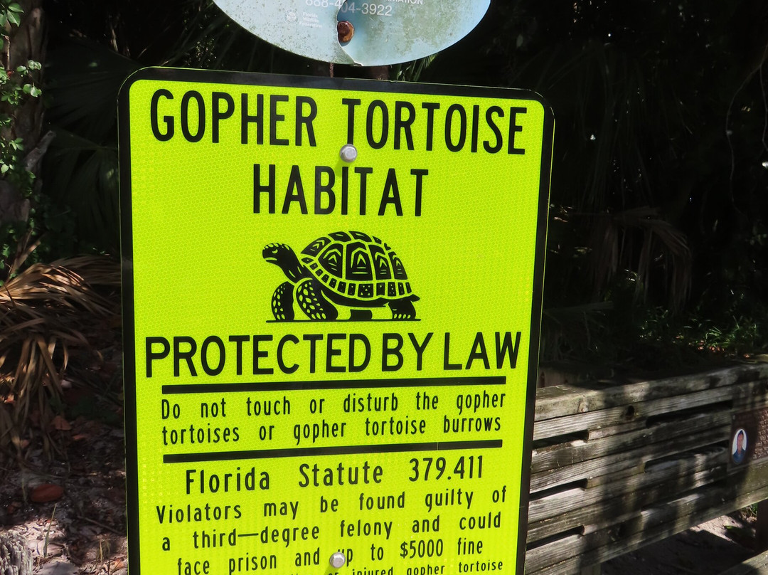 South Beach Park-维罗海滩必去景点