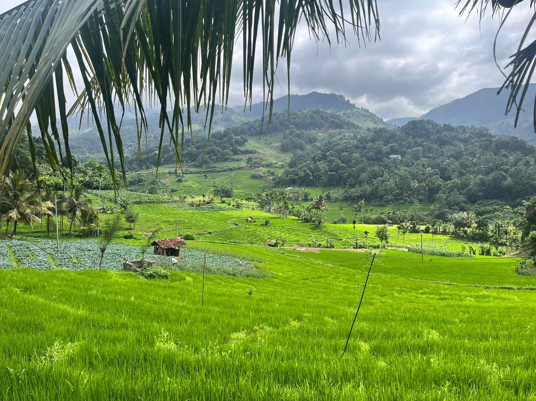 Relax Lanka Tours-尼甘布必去景点