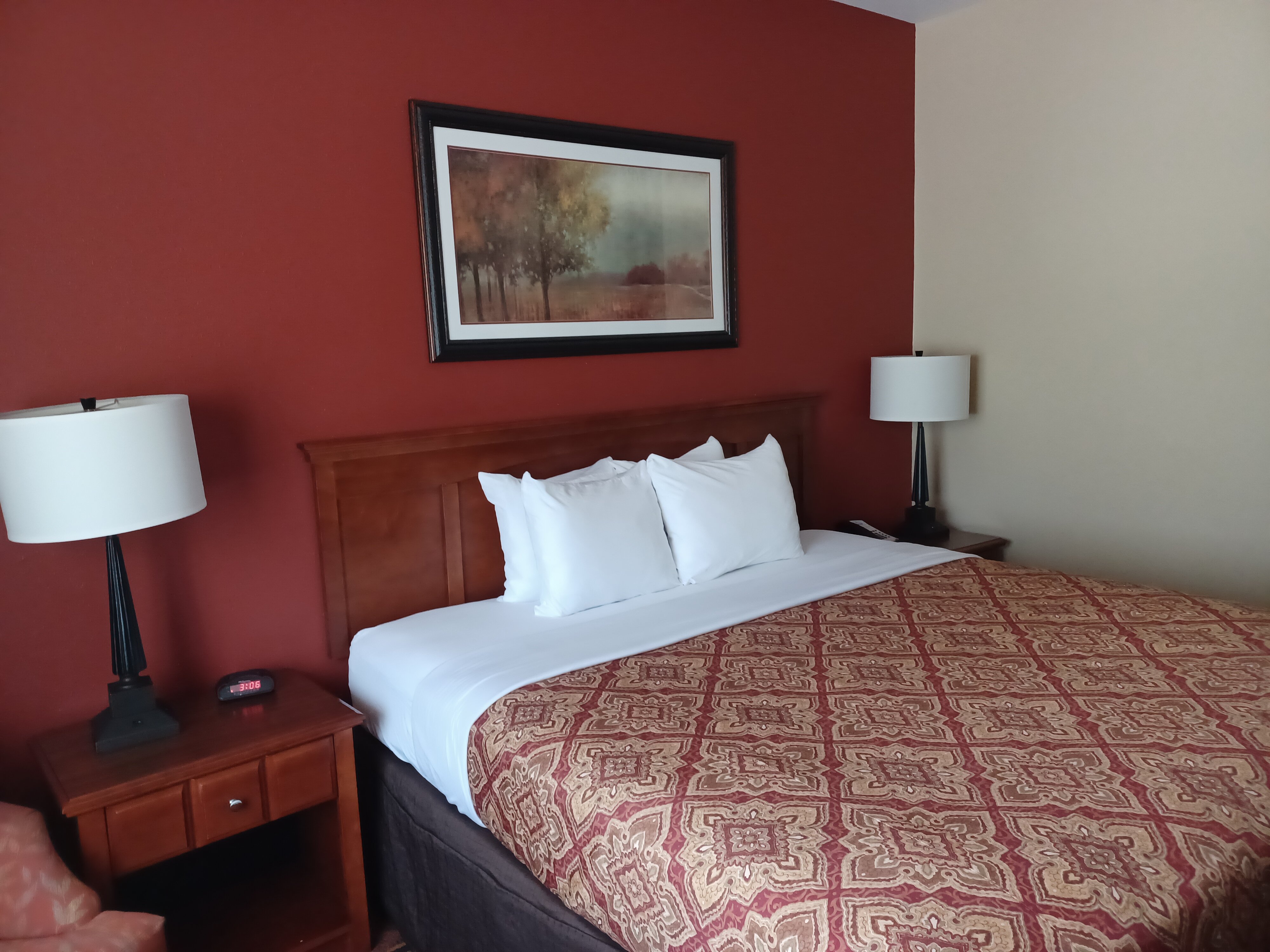 Savanna Inn & Suites-客卧