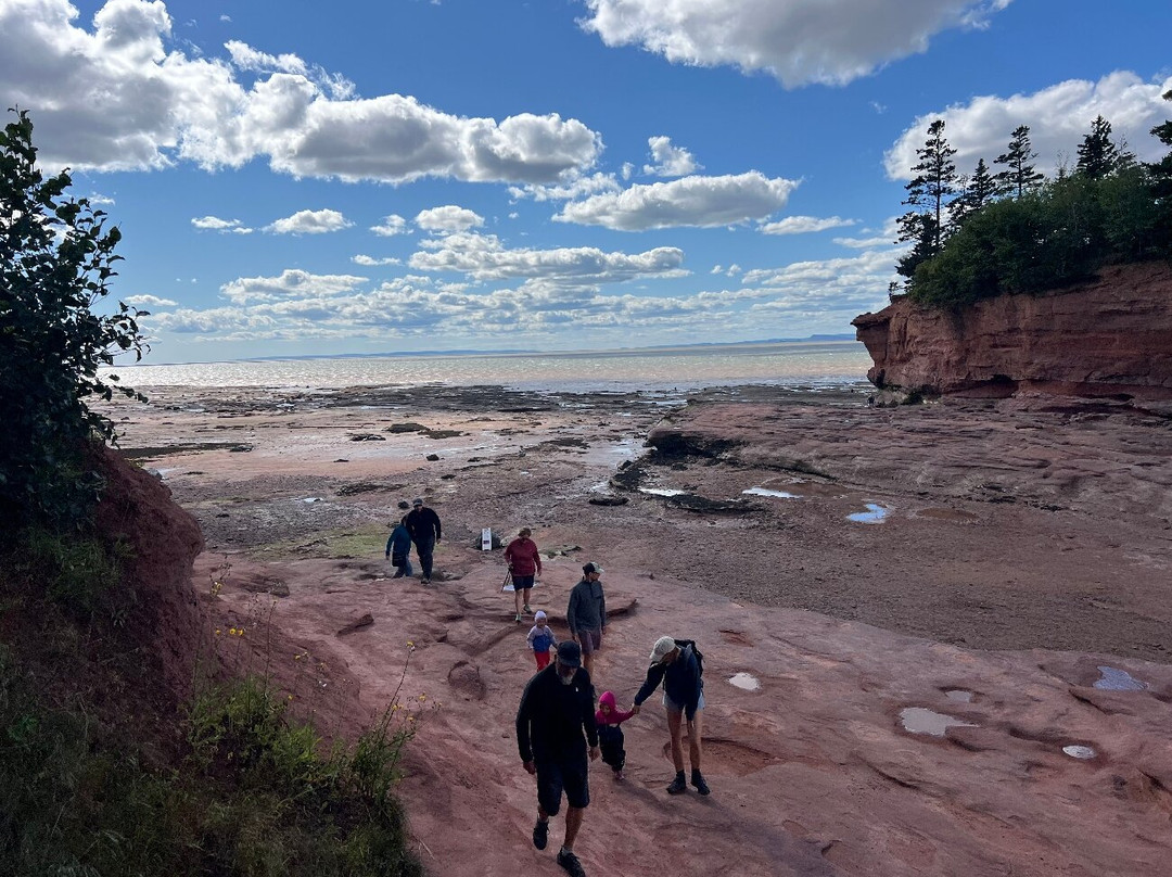 Burntcoat Head Park-Noel必去景点