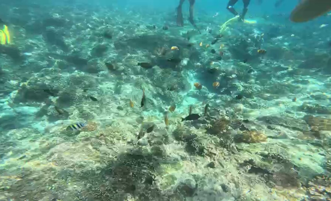 Bali Candidasa Tour-甘地达萨必去景点