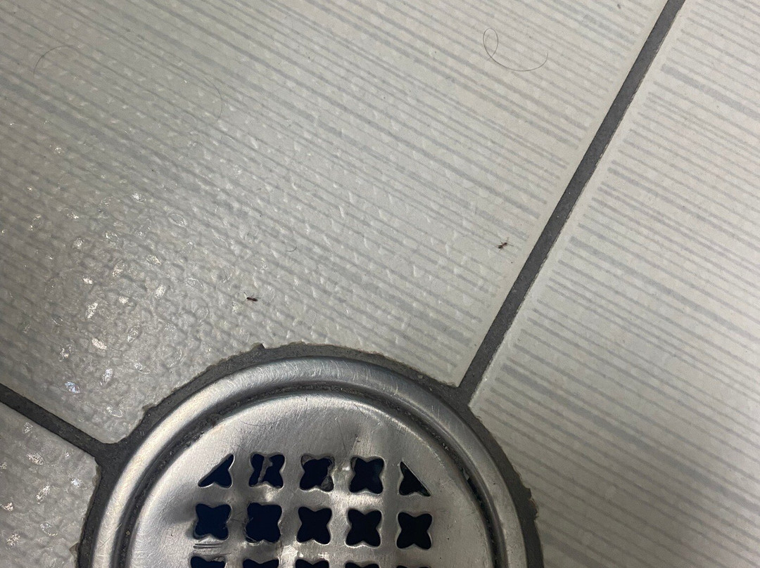 Kassavetis Center - Hotel Studios & Apartments主图