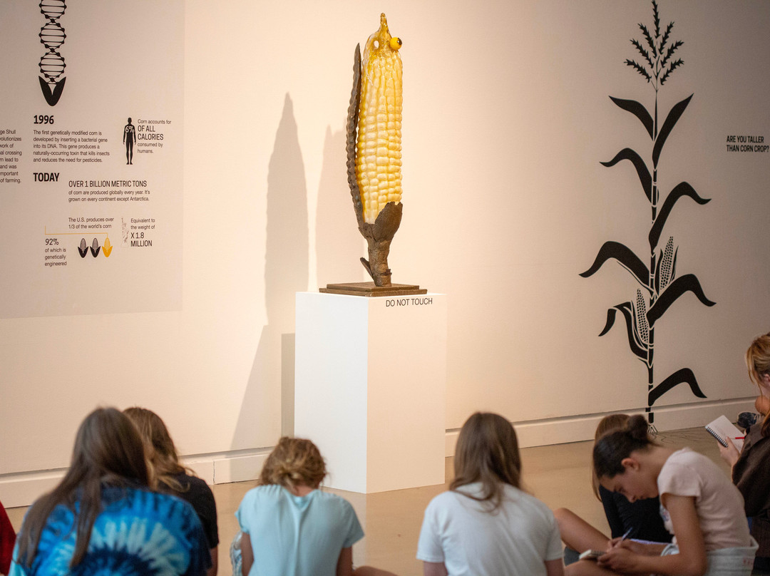 Rochester Art Center-罗切斯特必去景点