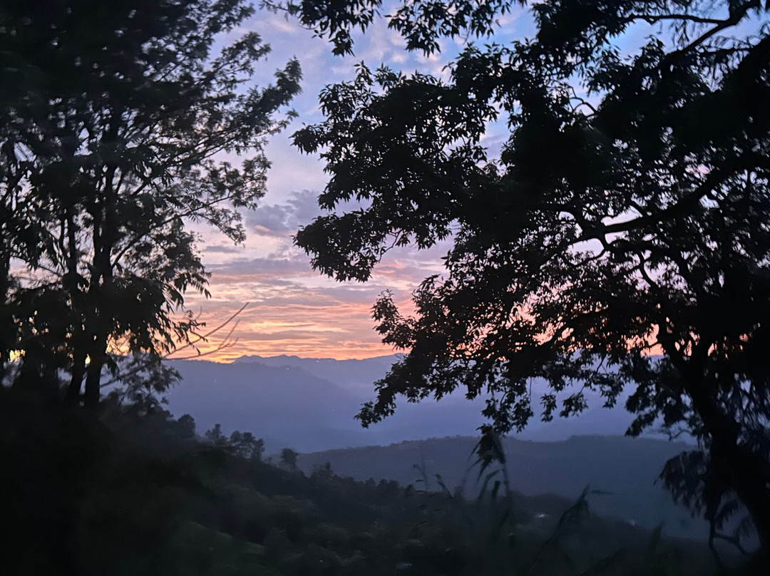 Narangala Mountainous Tourism With Robinson's Path-Badulla必去景点