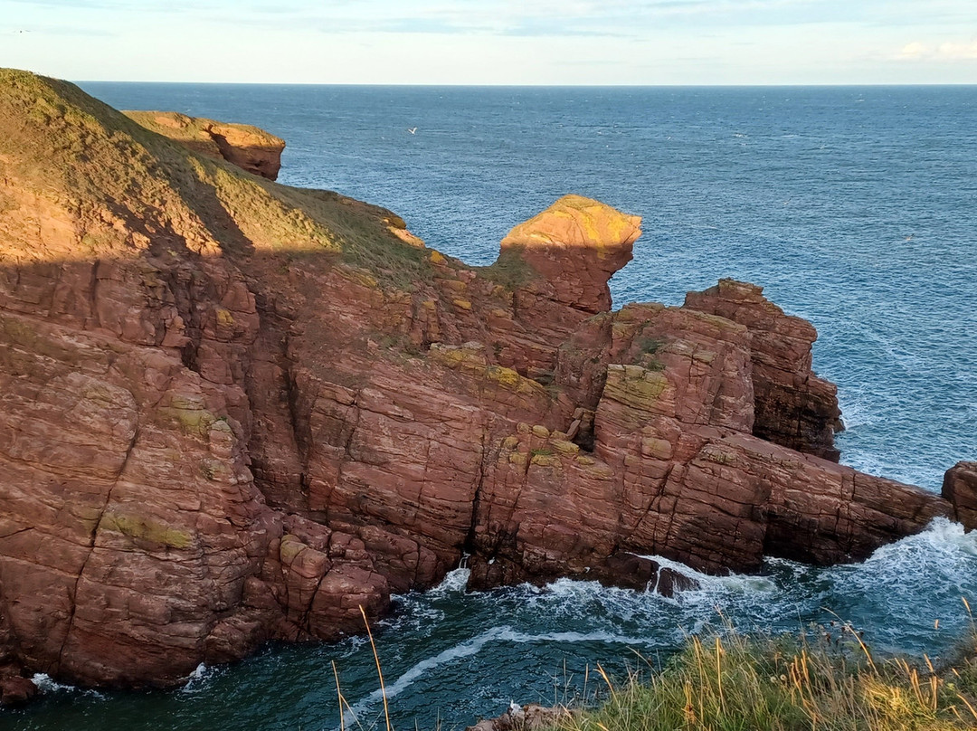 Arbroath to Auchmithie Coastal Path-Arbroath必去景点