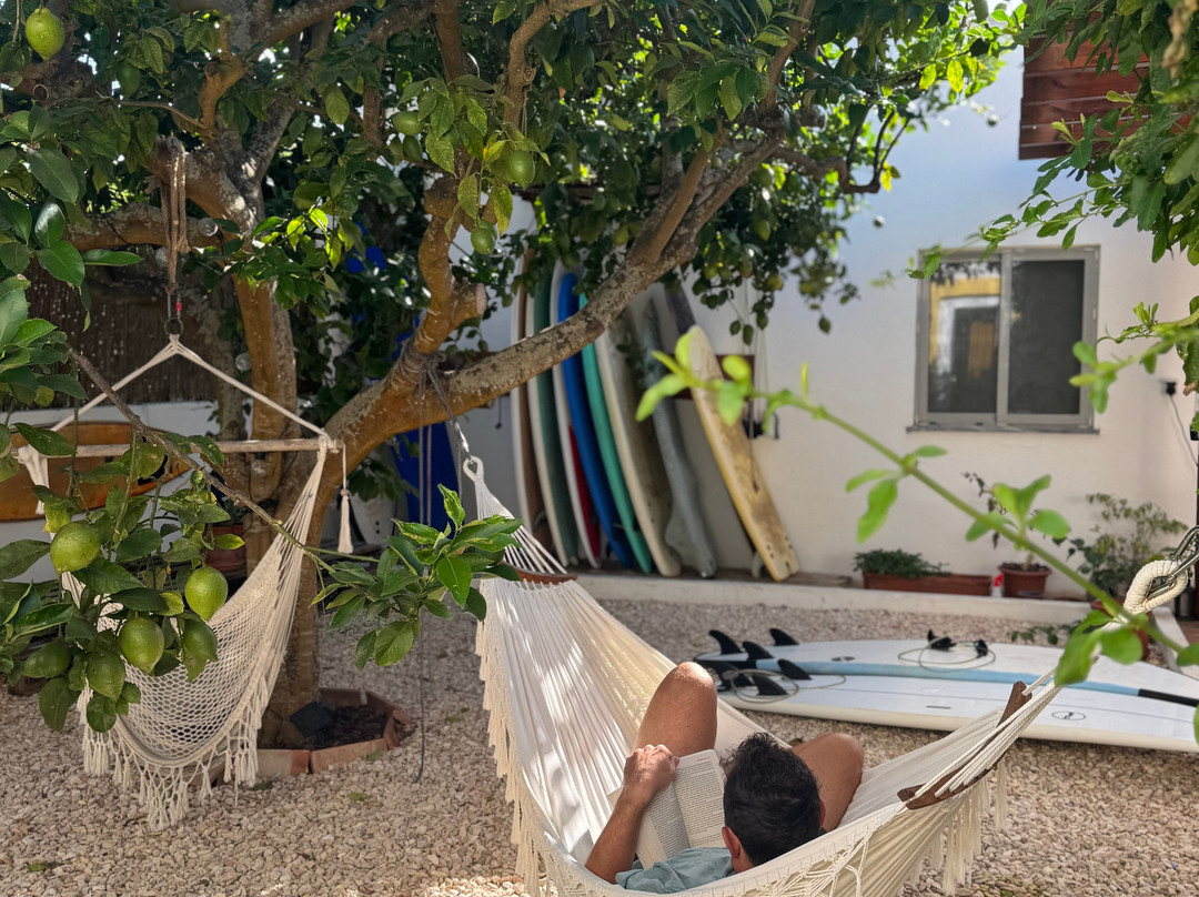 Lemontree Eco Surfhouse主图