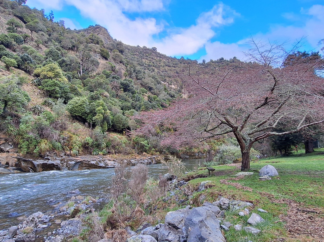 River Valley Adventures-Taihape必去景点