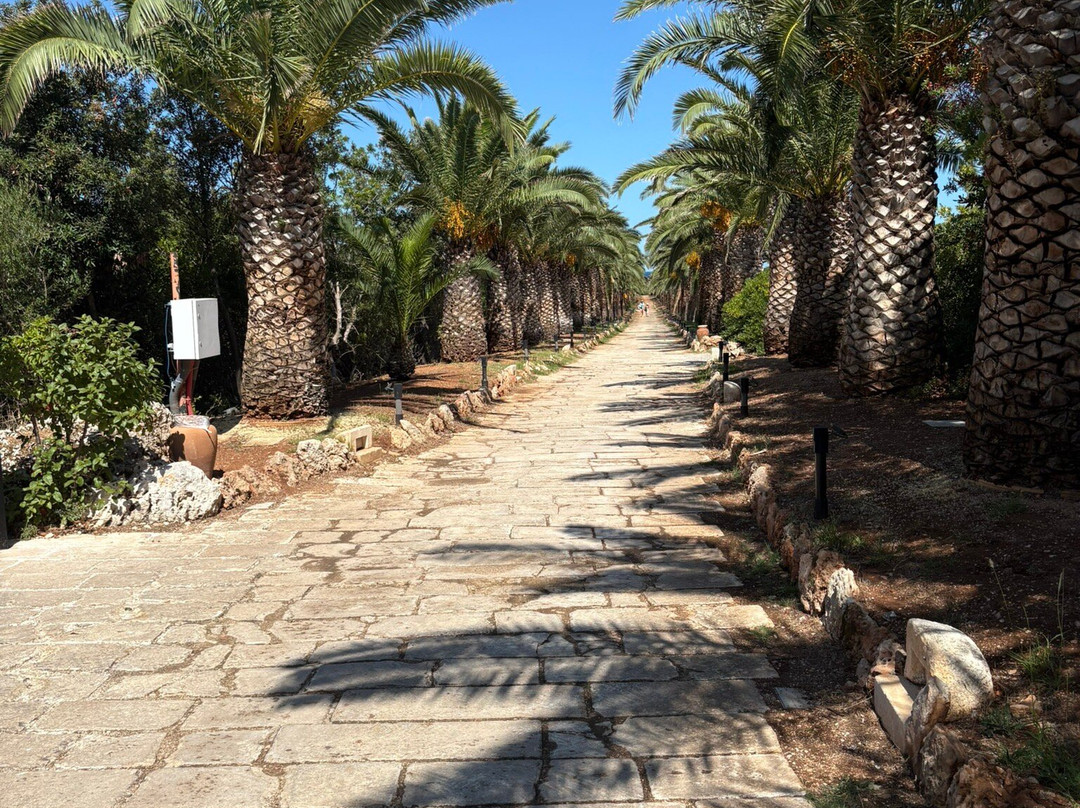 玛赛丽亚圣塔卢西亚大酒店主图