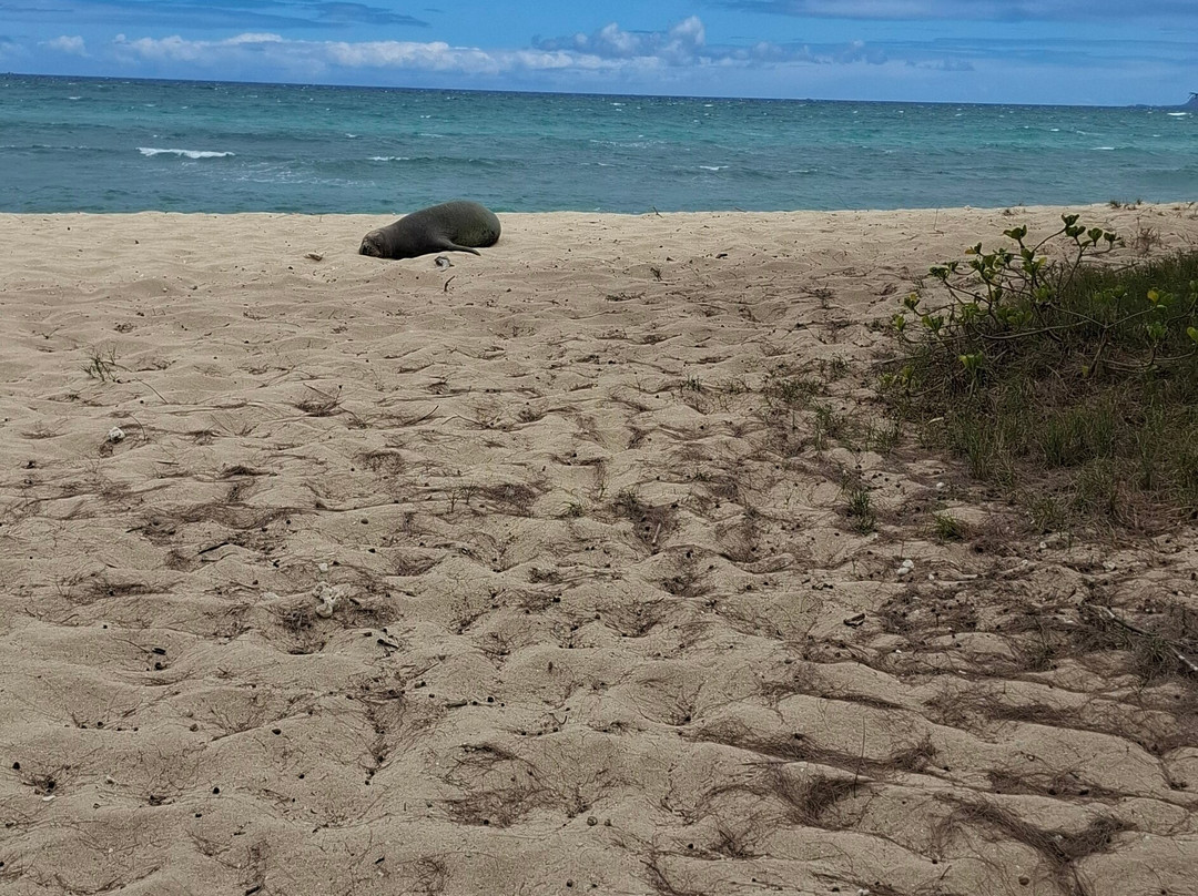 Hawaii Polo Club-瓦亚禄必去景点