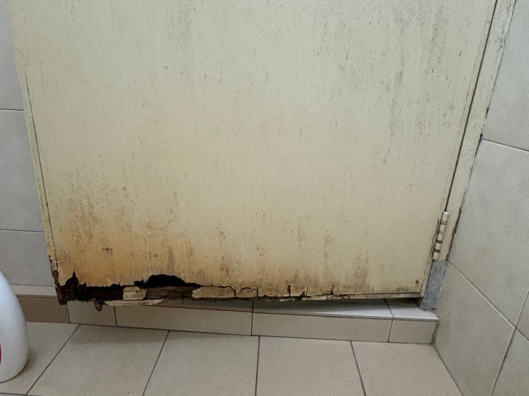 Deramakot Forest Reserve-山打根必去景点