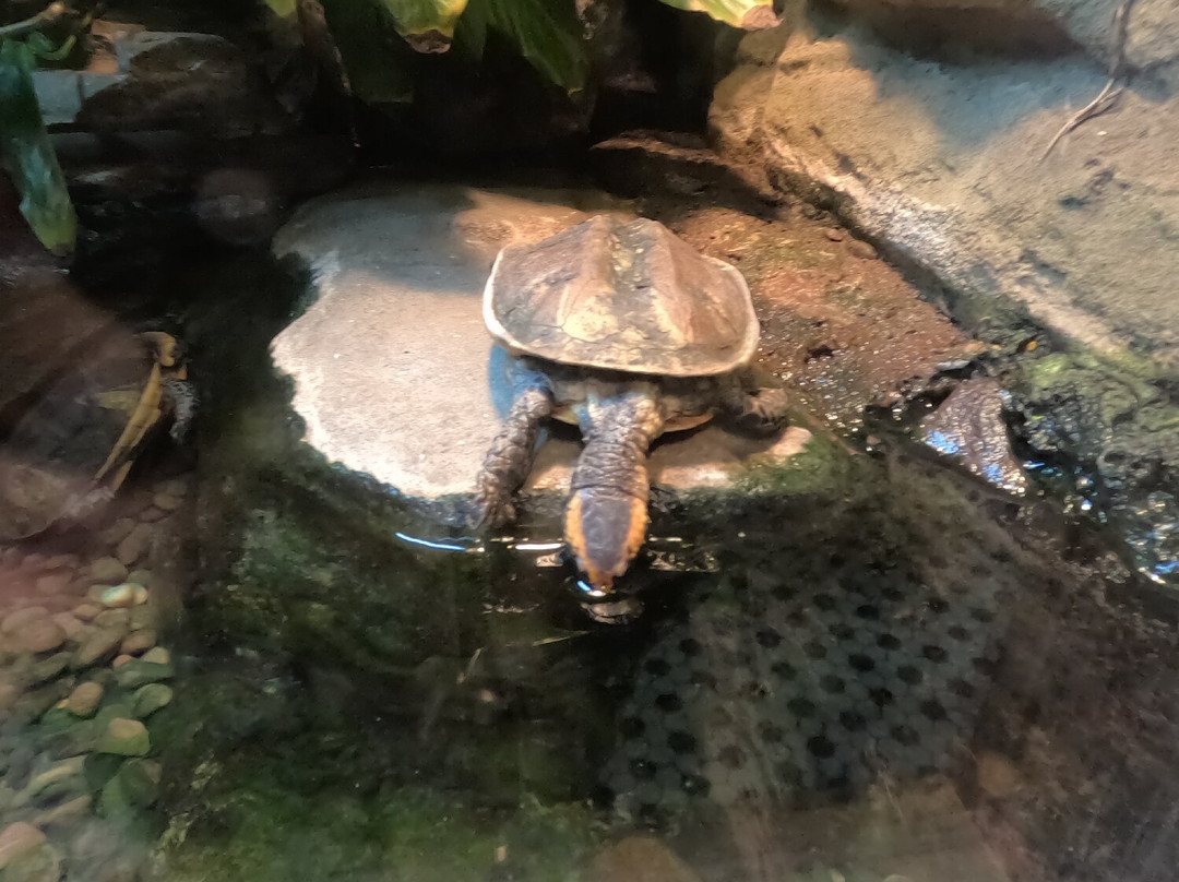 Electric City Aquarium & Reptile Den-斯克兰顿必去景点