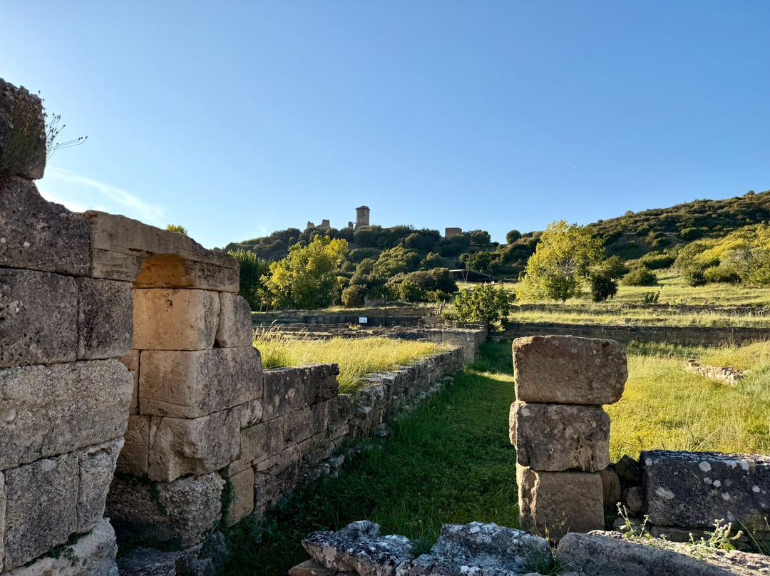 Parco Archeologico di Elea - Velia-Marina di Ascea必去景点