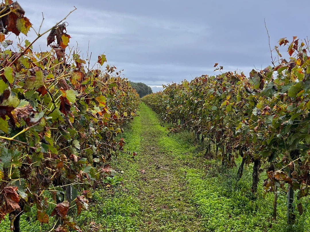 Le Domaine Du Chêne-Saint Palais de Phiolin必去景点