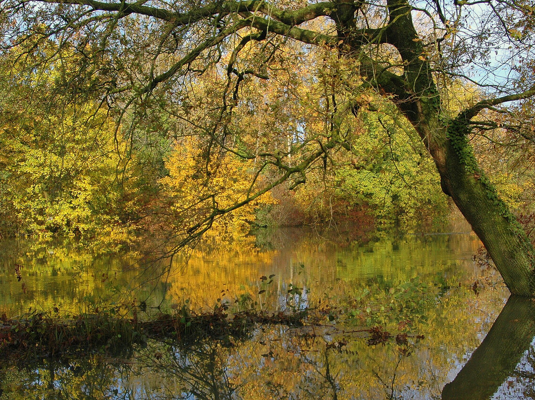 Centro Cicogne-西莱亚必去景点
