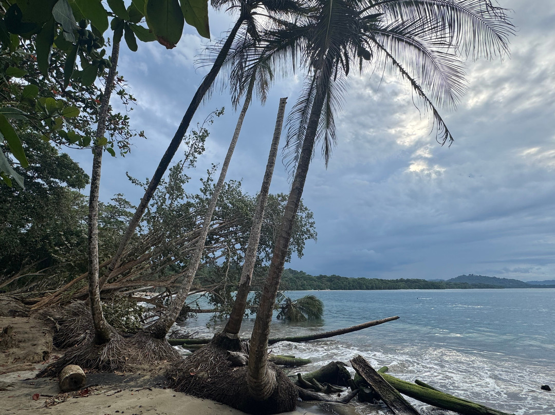 La Kukula Lodge主图