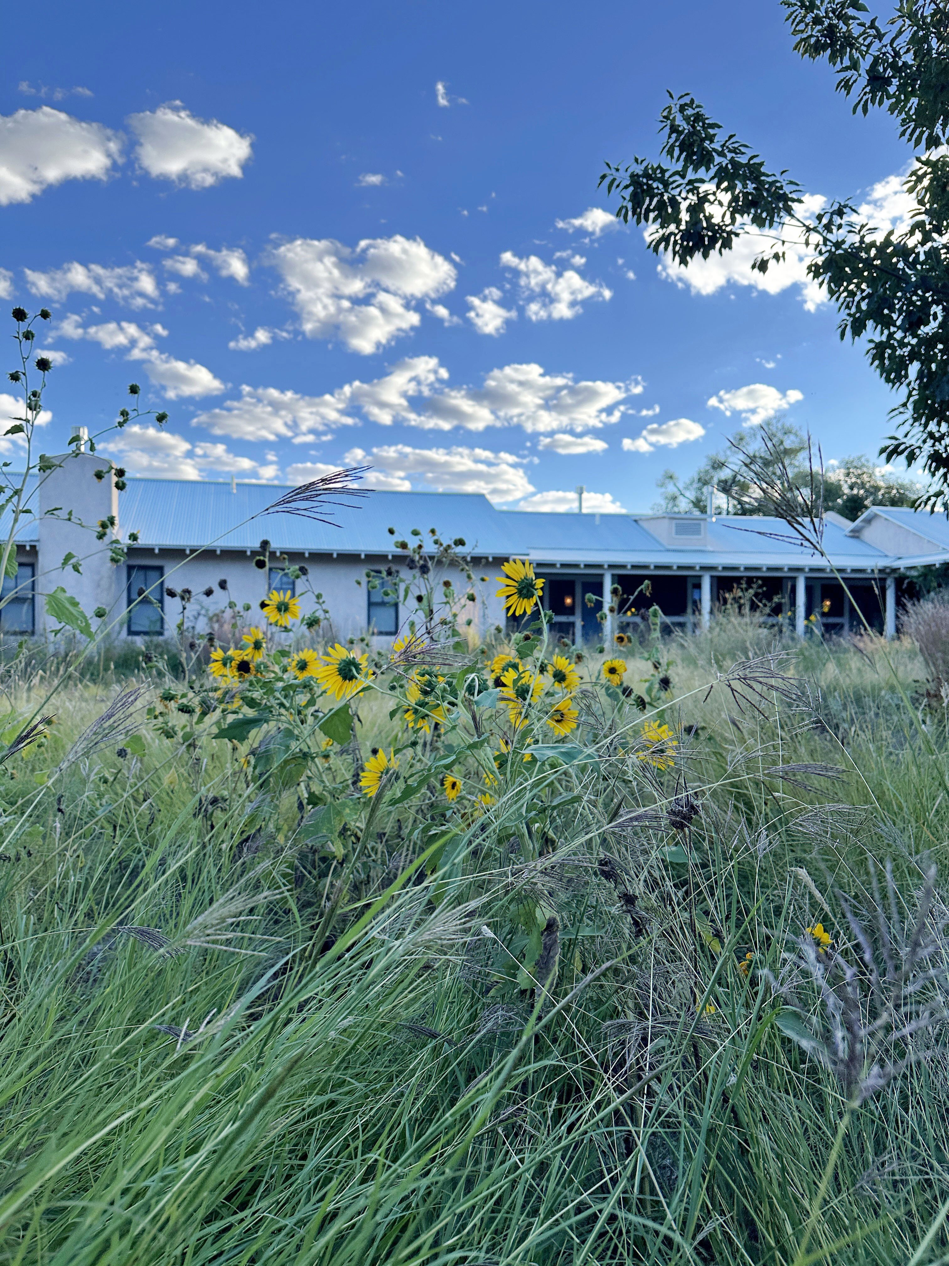 Los Poblanos Historic Inn & Organic Farm-浴室