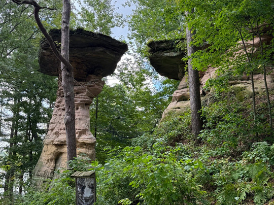 Dells Boat Tours-威斯康星峡谷必去景点