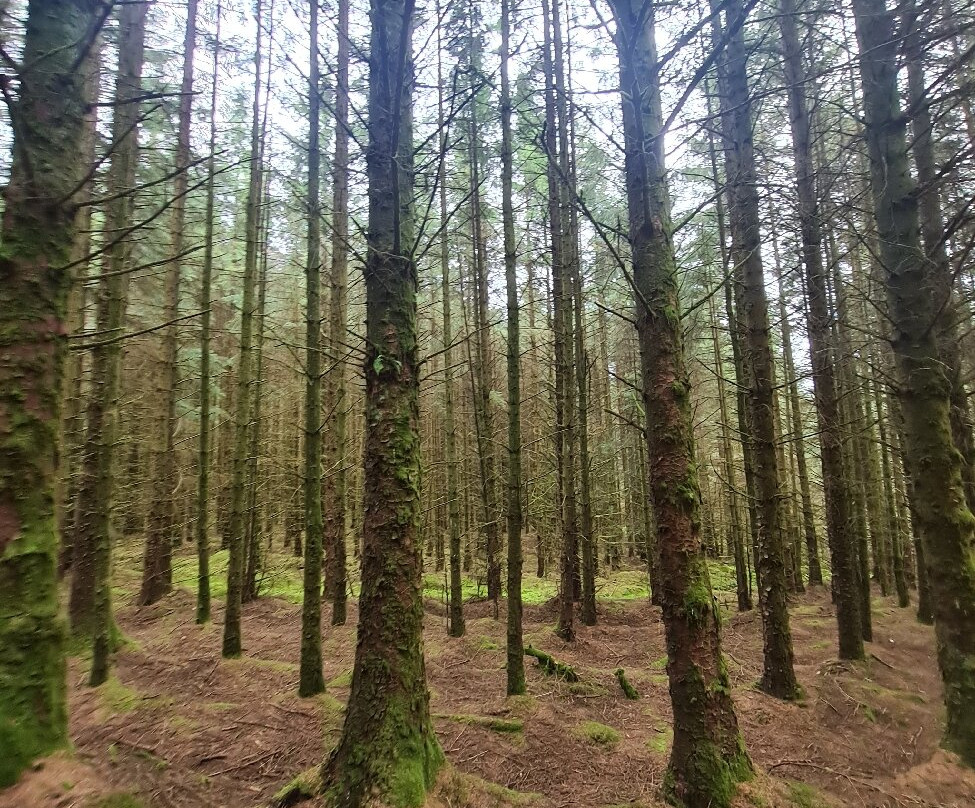 King's Caves-Blackwaterfoot必去景点