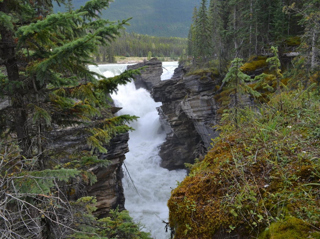 阿萨巴斯卡旅游攻略图片