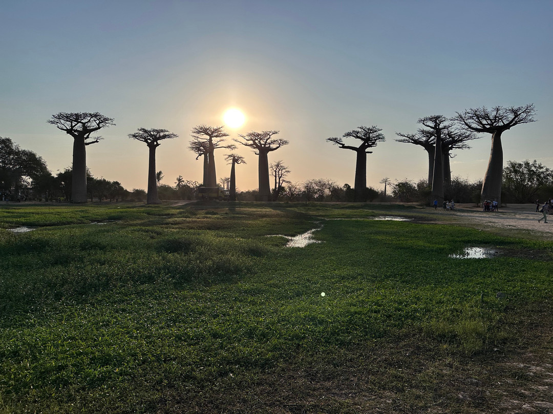 GMT+3 Great Madagascar Tours - Day Tours-安塔那那利佛必去景点