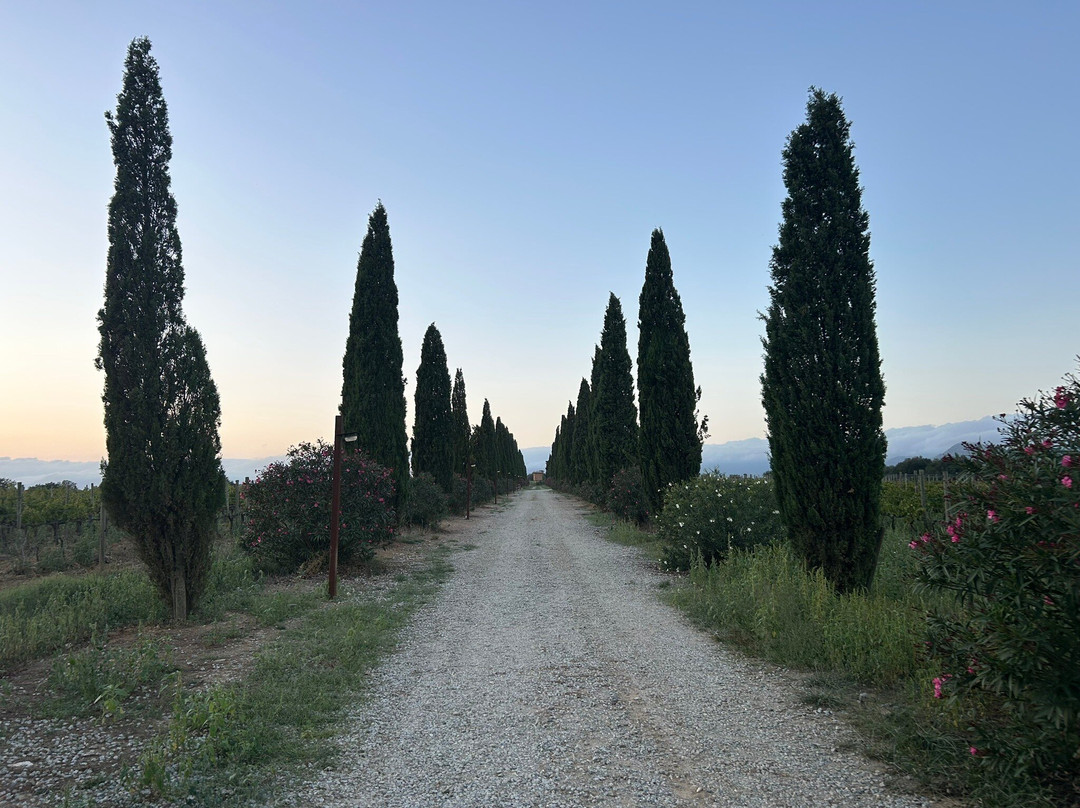 La Vinyeta-Mollet de Peralada必去景点