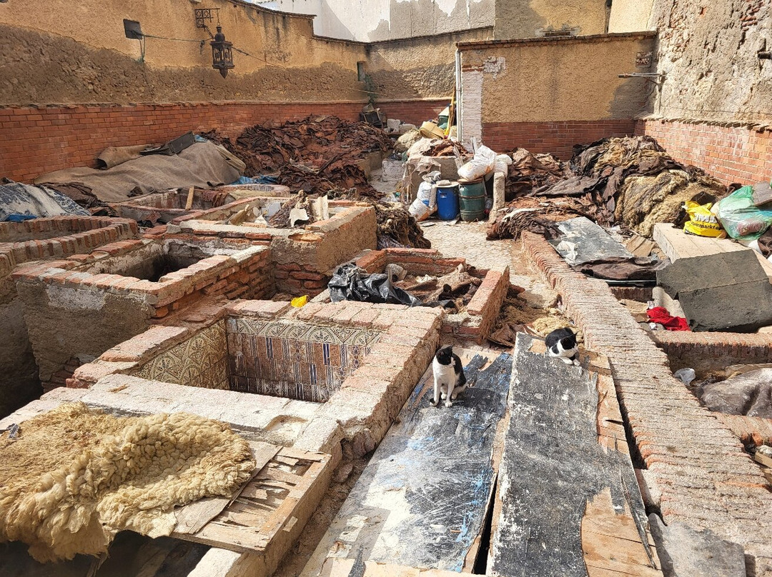 Tanneries of Tetouan-Tetouan必去景点