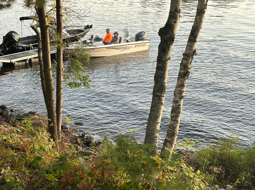 Nelson's Resort主图