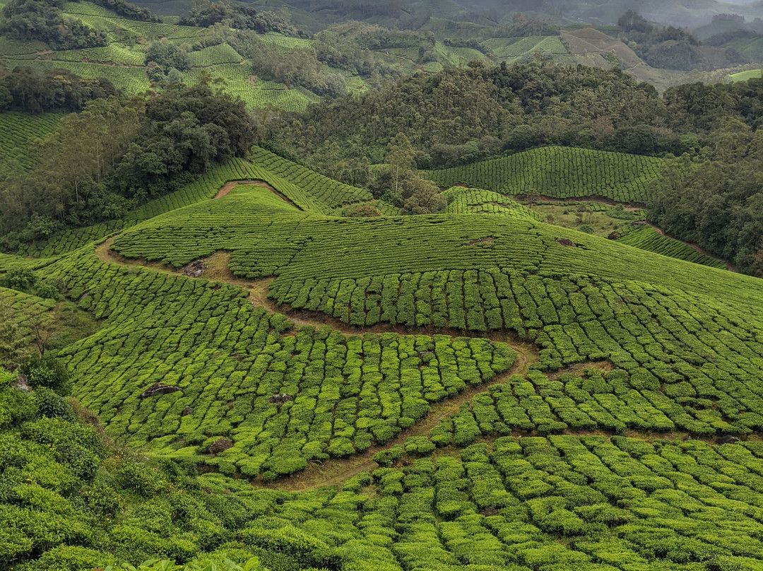 Munnar Hiking Trails-慕那尔必去景点