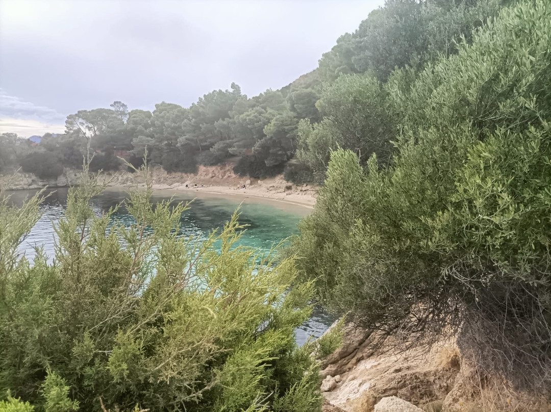 Spiaggia di Cala Moresca-Golfo Aranci必去景点