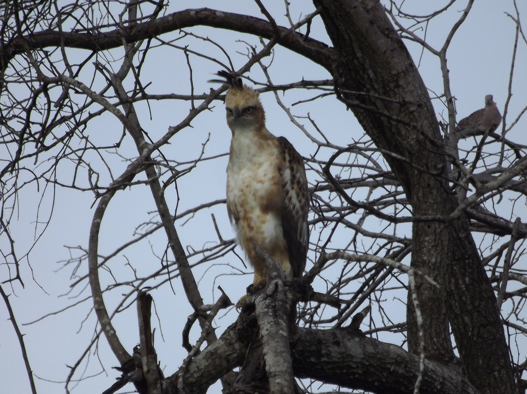 Udawalawe Trails-乌达瓦拉瓦必去景点