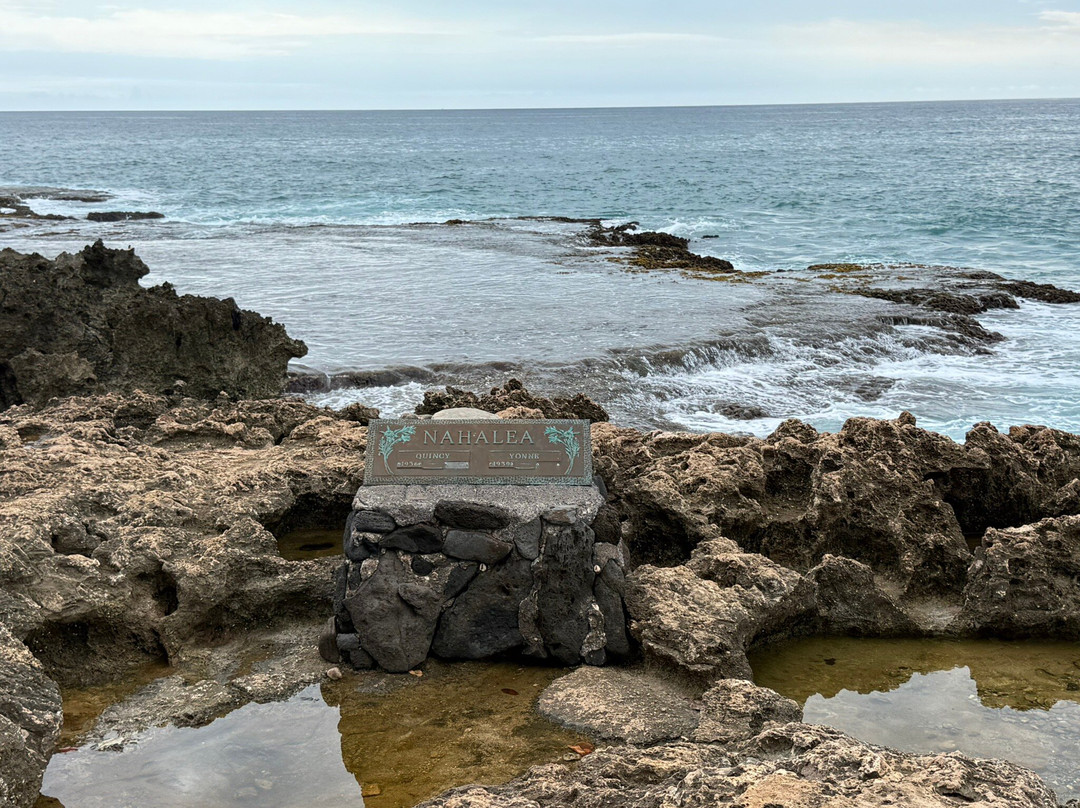 Mermaid Caves-怀厄奈必去景点
