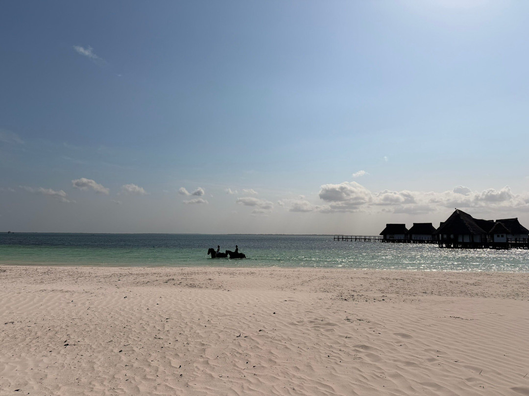 Royal Stable Zanzibar