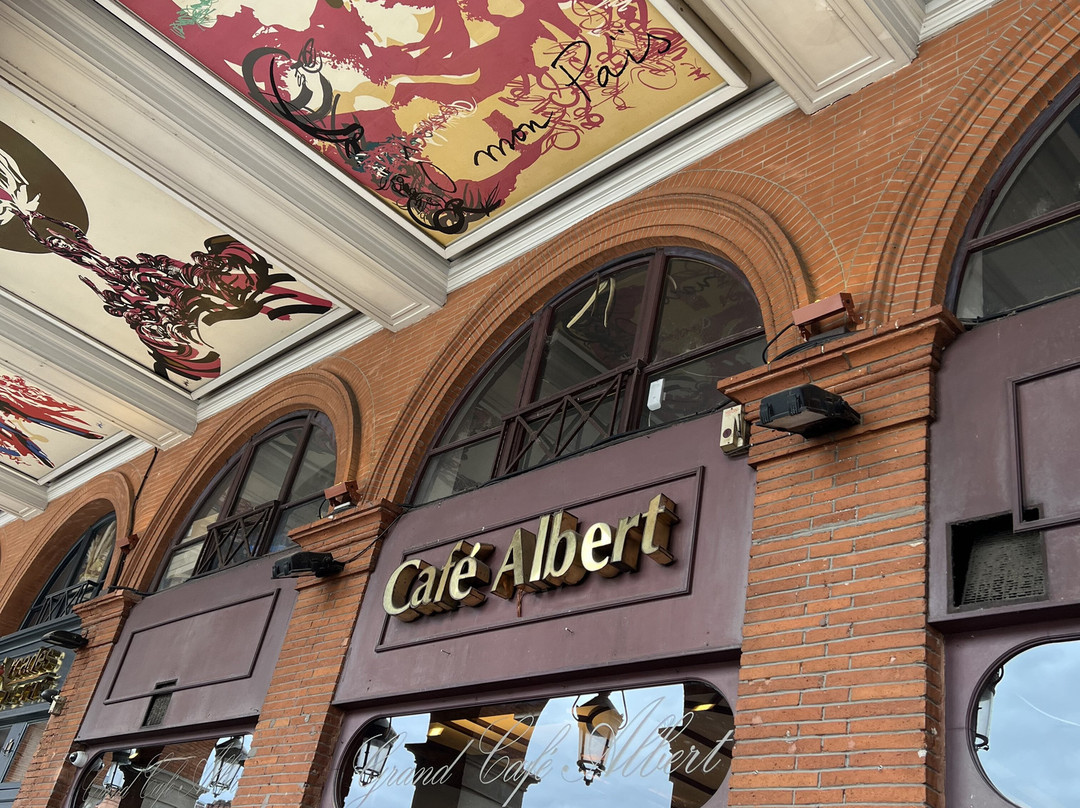 Théâtre Du Capitole Toulouse-图卢兹必去景点