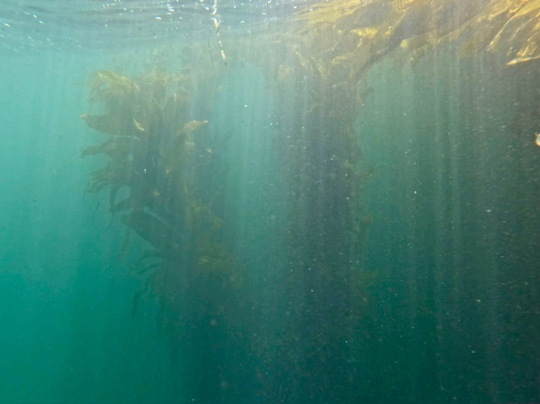 Monterey Expeditions-蒙特雷必去景点