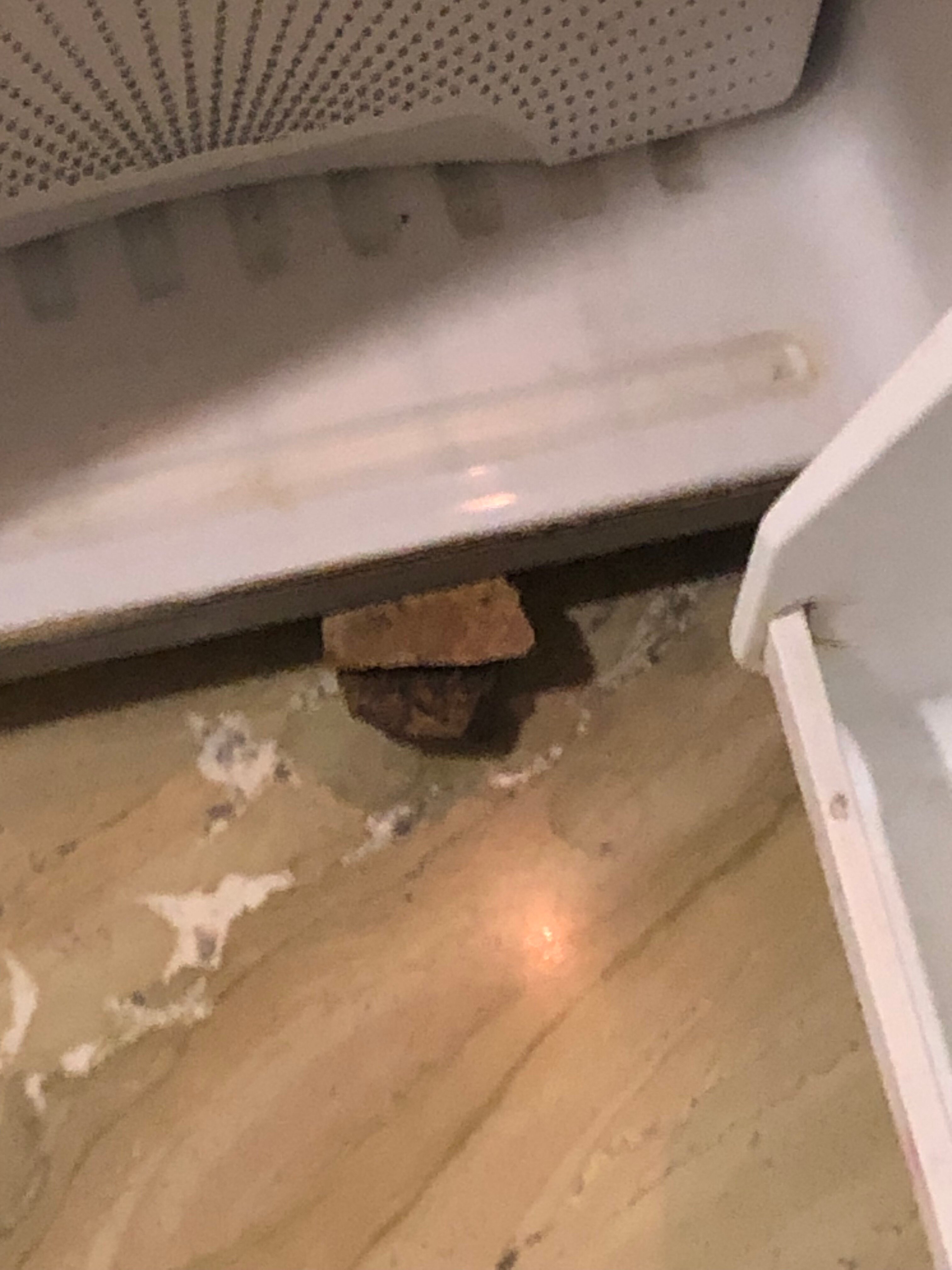 Hotel Kailash International-官方