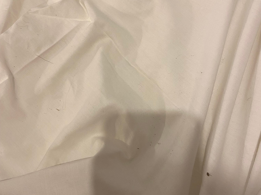 Ariana Apartments主图