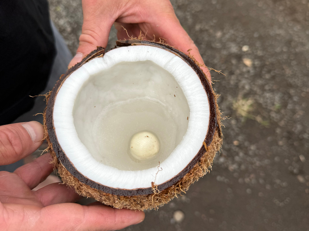 Marama Tours-大溪地必去景点