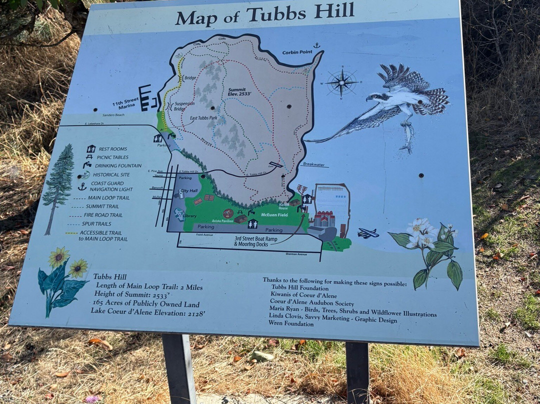 Tubbs Hill Nature Trails-科达伦必去景点