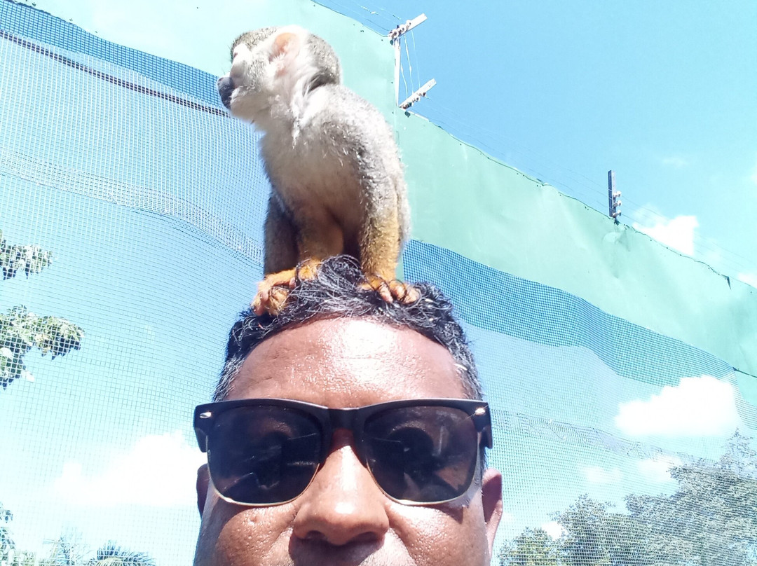 Runners Adventures-普拉塔港必去景点